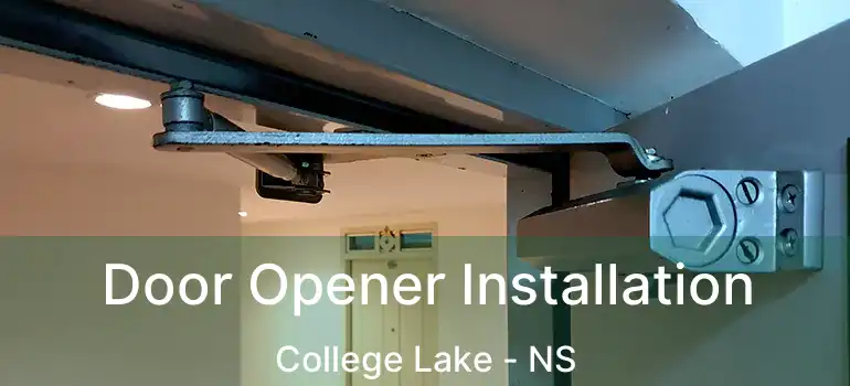  Door Opener Installation College Lake - NS