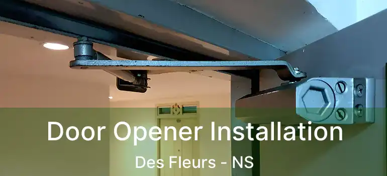  Door Opener Installation Des Fleurs - NS