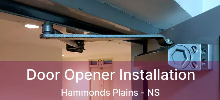  Door Opener Installation Hammonds Plains - NS