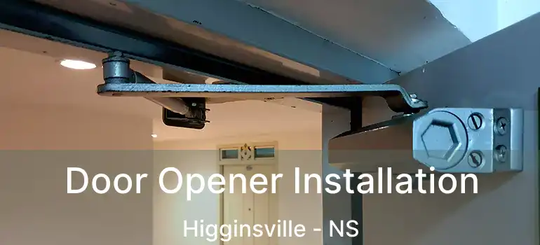  Door Opener Installation Higginsville - NS