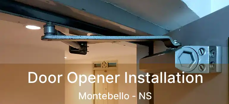  Door Opener Installation Montebello - NS