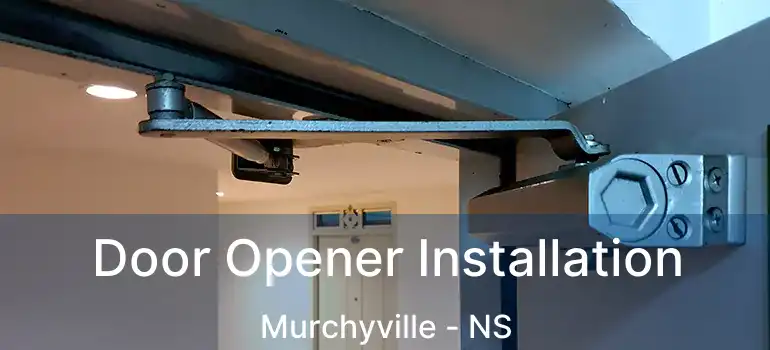  Door Opener Installation Murchyville - NS