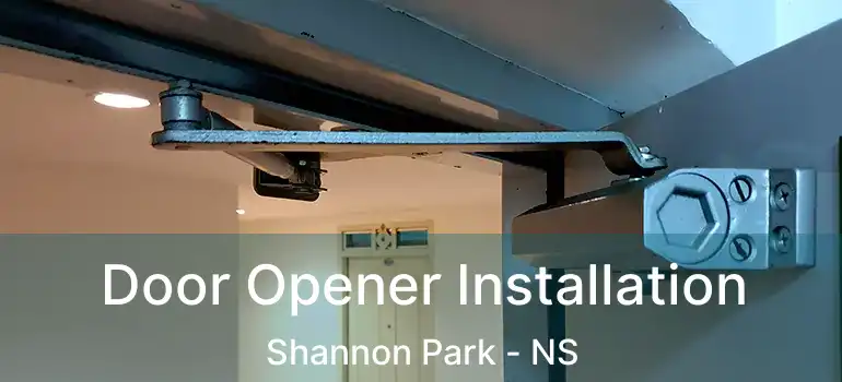  Door Opener Installation Shannon Park - NS