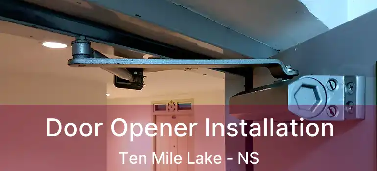  Door Opener Installation Ten Mile Lake - NS