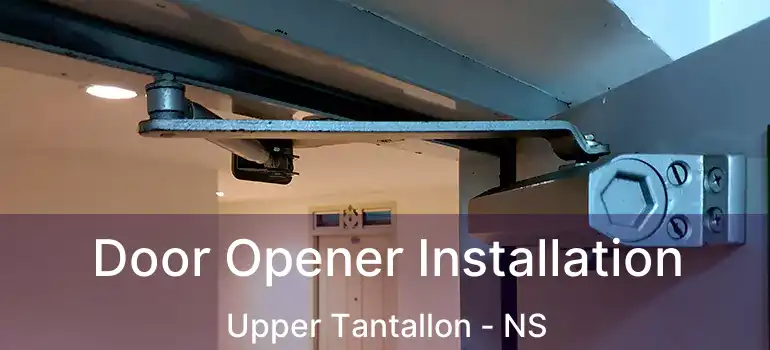  Door Opener Installation Upper Tantallon - NS