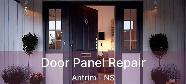  Door Panel Repair Antrim - NS