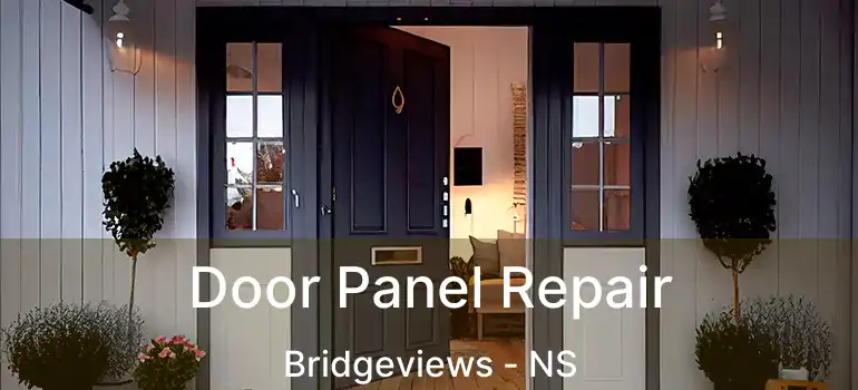  Door Panel Repair Bridgeviews - NS