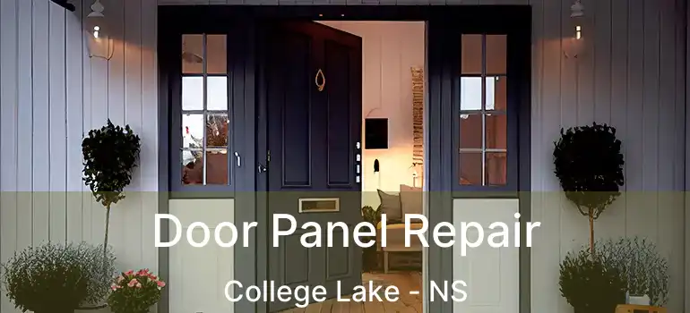  Door Panel Repair College Lake - NS