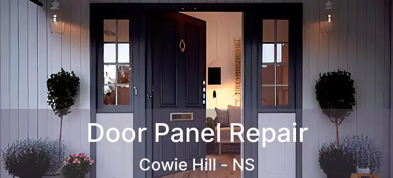  Door Panel Repair Cowie Hill - NS