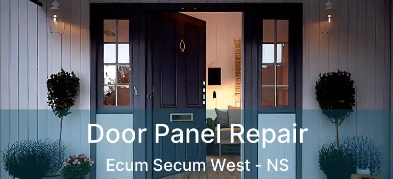  Door Panel Repair Ecum Secum West - NS