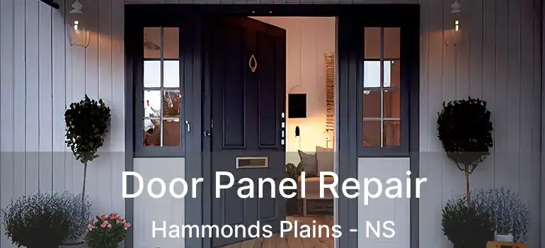  Door Panel Repair Hammonds Plains - NS