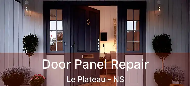  Door Panel Repair Le Plateau - NS