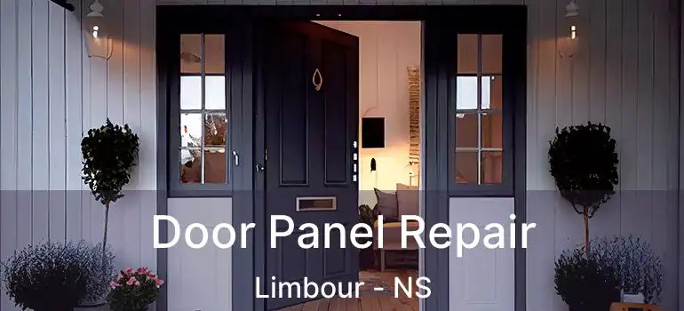  Door Panel Repair Limbour - NS