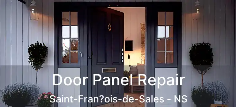  Door Panel Repair Saint-Fran?ois-de-Sales - NS