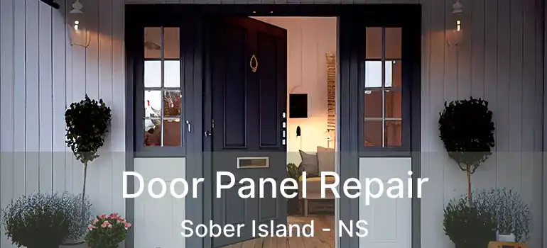  Door Panel Repair Sober Island - NS