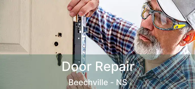  Door Repair Beechville - NS