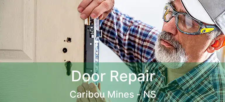  Door Repair Caribou Mines - NS