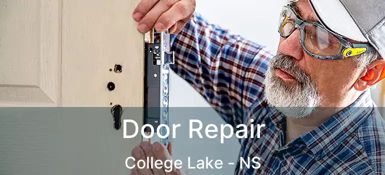  Door Repair College Lake - NS