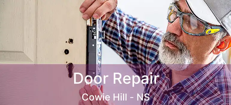  Door Repair Cowie Hill - NS