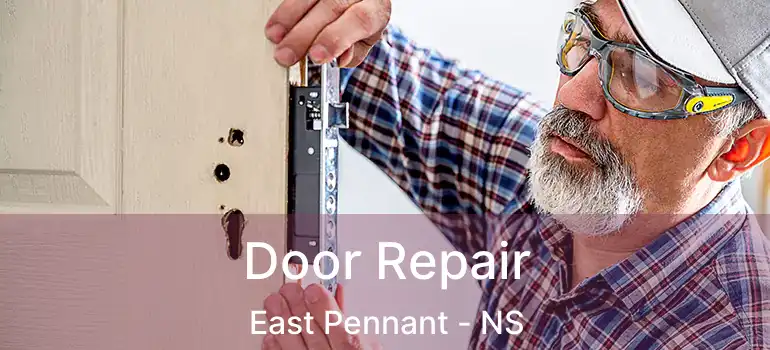  Door Repair East Pennant - NS