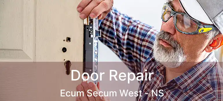  Door Repair Ecum Secum West - NS