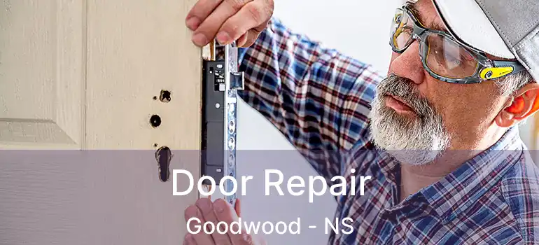  Door Repair Goodwood - NS