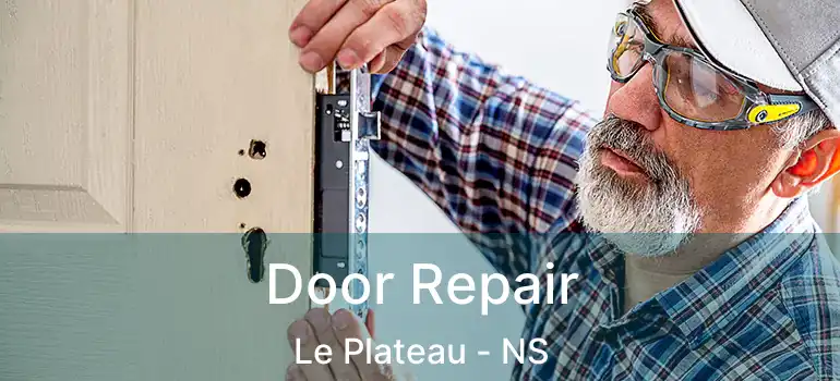  Door Repair Le Plateau - NS