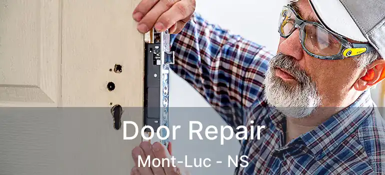  Door Repair Mont-Luc - NS