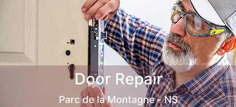  Door Repair Parc de la Montagne - NS