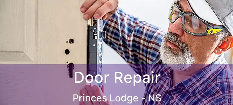  Door Repair Princes Lodge - NS