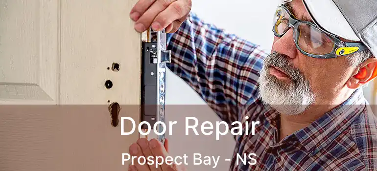  Door Repair Prospect Bay - NS