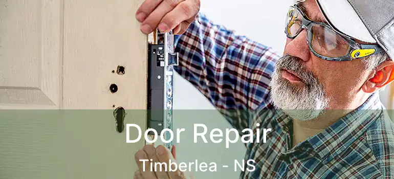  Door Repair Timberlea - NS