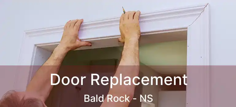  Door Replacement Bald Rock - NS