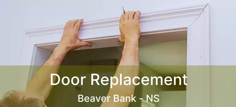  Door Replacement Beaver Bank - NS