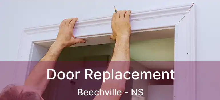  Door Replacement Beechville - NS