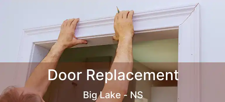  Door Replacement Big Lake - NS