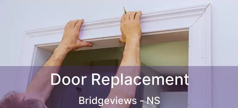  Door Replacement Bridgeviews - NS