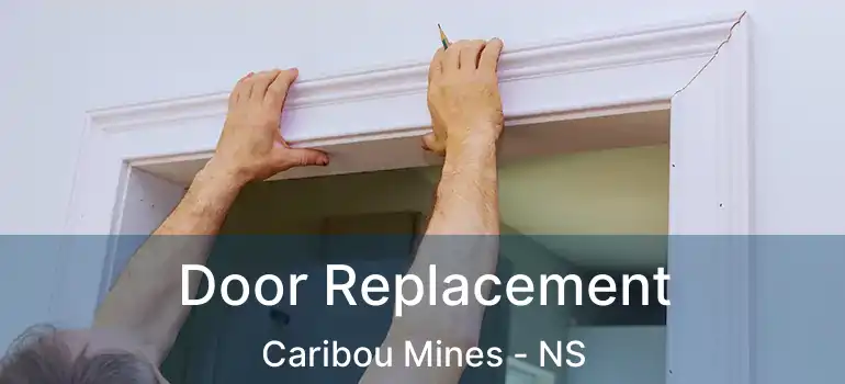  Door Replacement Caribou Mines - NS