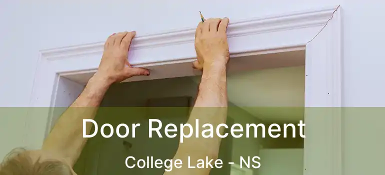  Door Replacement College Lake - NS