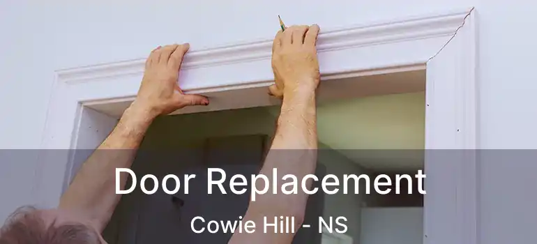  Door Replacement Cowie Hill - NS