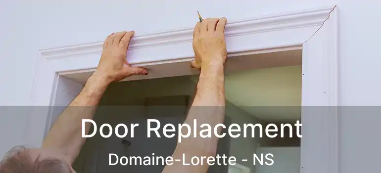  Door Replacement Domaine-Lorette - NS