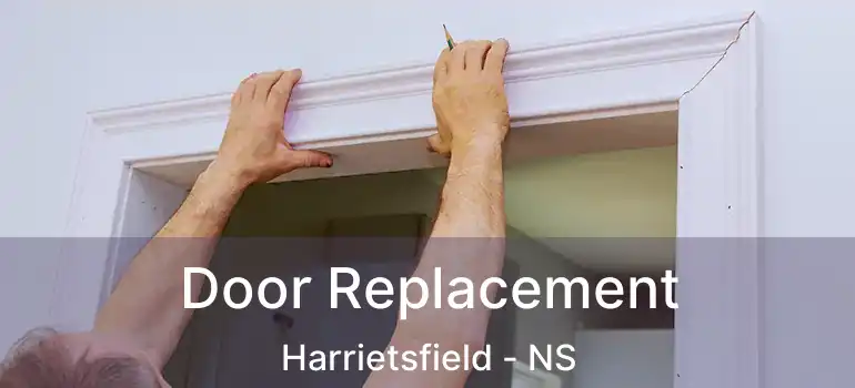  Door Replacement Harrietsfield - NS