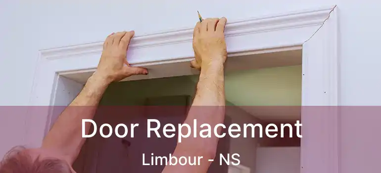  Door Replacement Limbour - NS