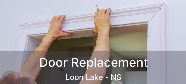  Door Replacement Loon Lake - NS