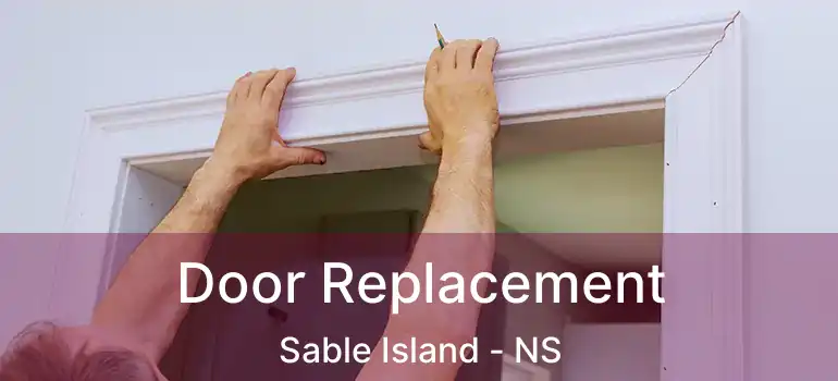  Door Replacement Sable Island - NS