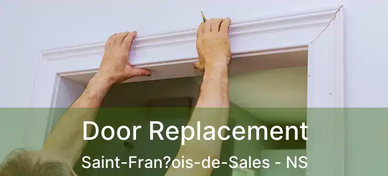  Door Replacement Saint-Fran?ois-de-Sales - NS