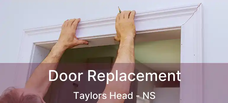  Door Replacement Taylors Head - NS