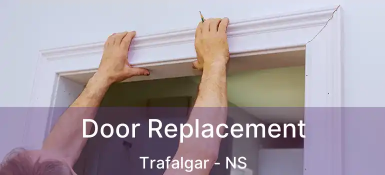  Door Replacement Trafalgar - NS