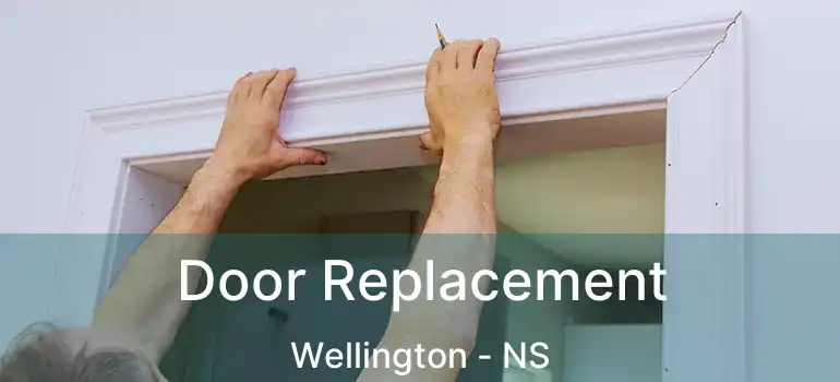  Door Replacement Wellington - NS