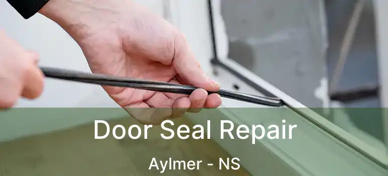  Door Seal Repair Aylmer - NS